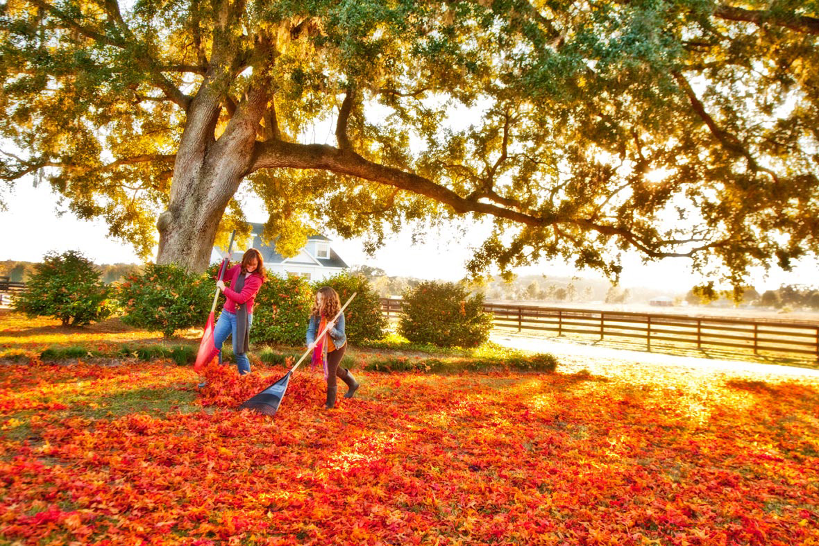 Lifestyle Photography | Mom & Daughter raking leaves 