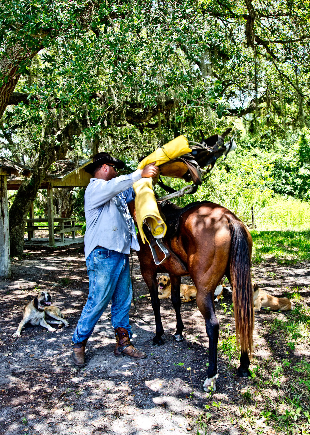 Lifestyle Photography | Cowboy with Horse