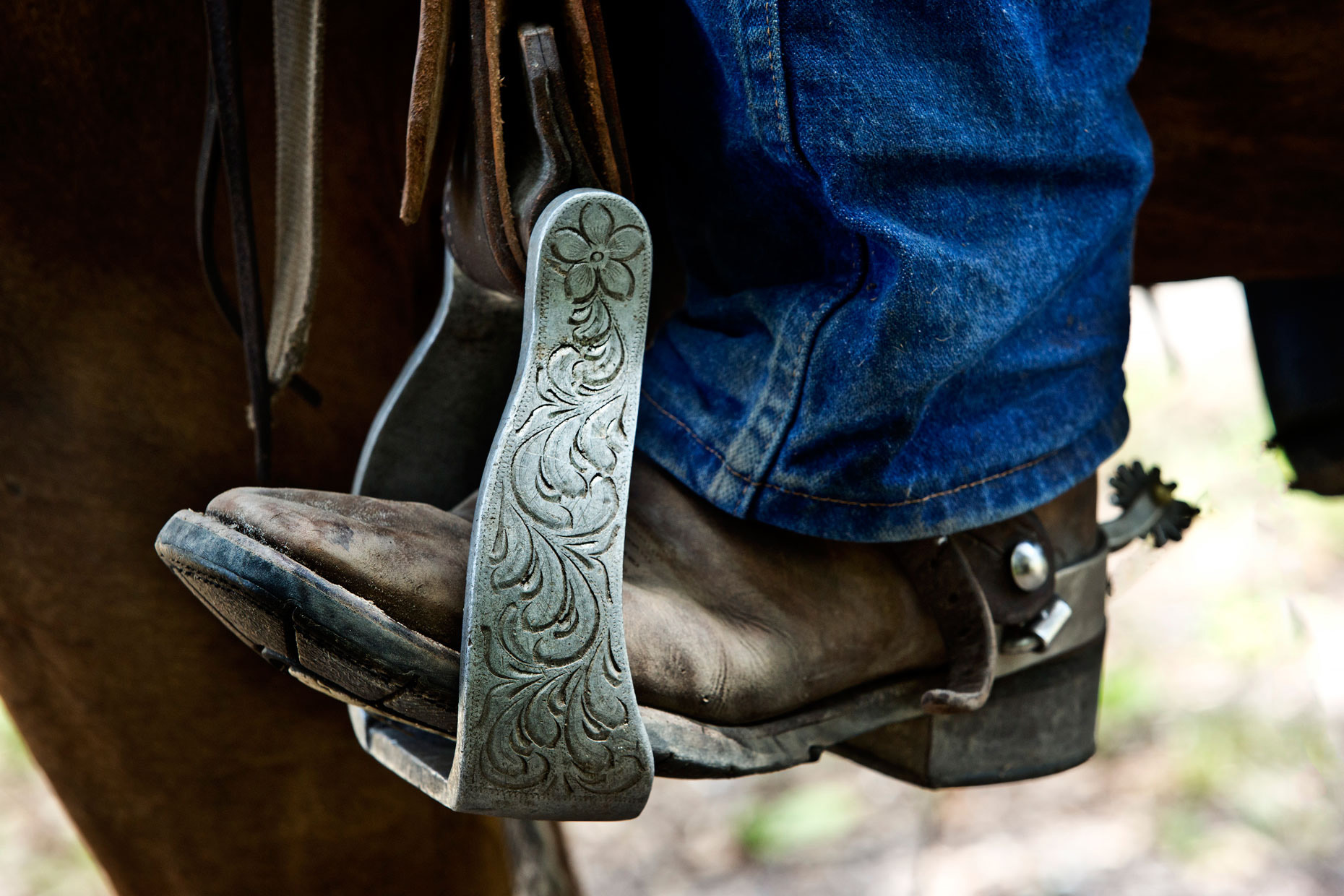 Lifestyle Photography | Seminole Cowboy